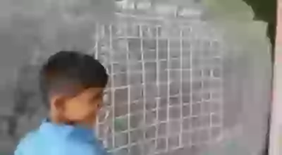 Table Learning In Government School Interesting Whatsapp Video