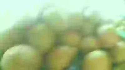 Telugu Funny WhatsApp Video