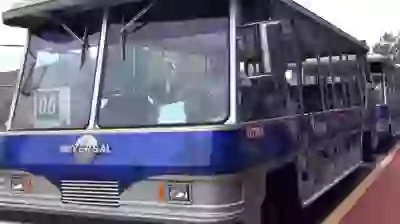 That Amezing 3D experiance in BUS