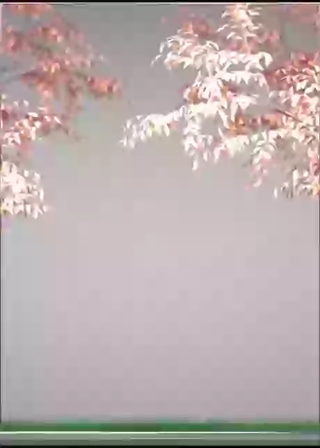 The Famous Tetris Game In Jelly Version