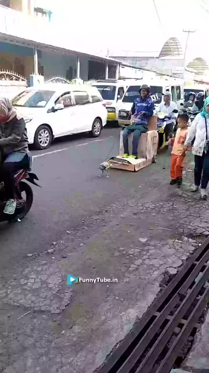 Aise Shadi Kon Karta Hai Bhai Funny Meme Video