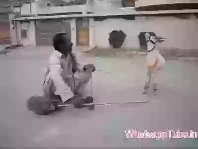 The Older Entertainment Props