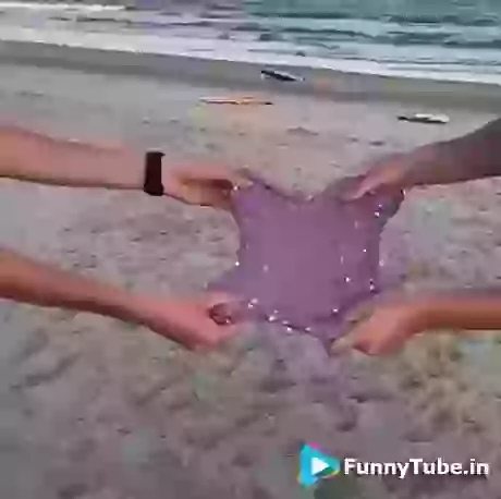 The Satisfaction Bubble GIF