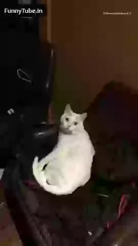 Piyakkad politicians learning dance from police