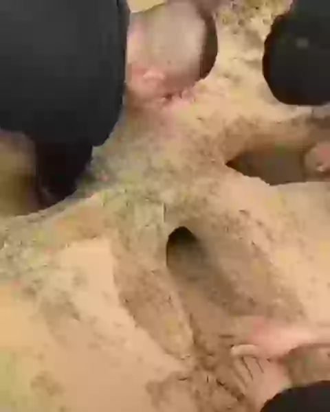 This Cute Moment Puppy Joined The Game