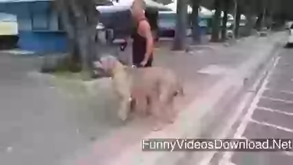 This is how mother protect