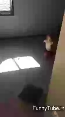 This will inspire you a lot