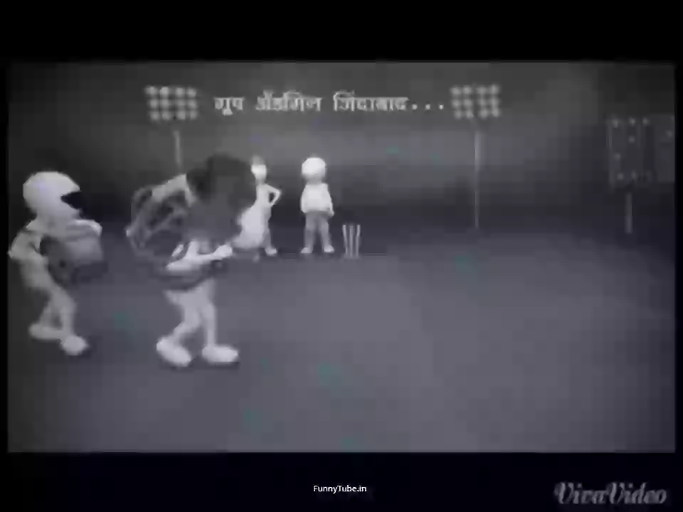 The Wide Is Hits Camera Funny Cat Video