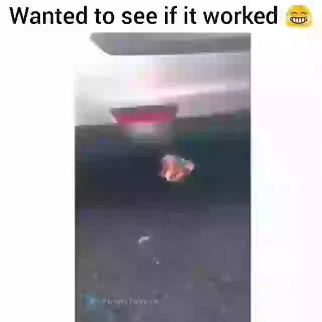 Best Use Of Vacation Funny Status Video