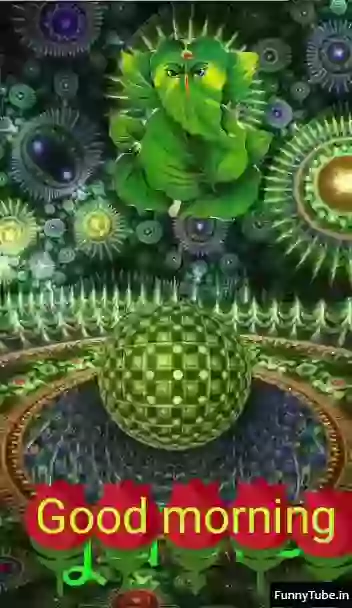 Tuesday Special Good Morning Status Video