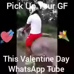 Valentine Day Video Bike 4 GF