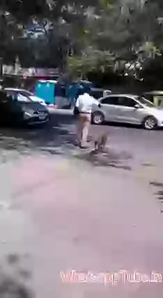 Very Caring Traffic Police