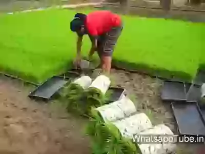 Very Interesting Grass Technology