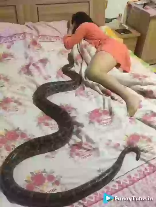 Funny Musical Emotional Drama Queen