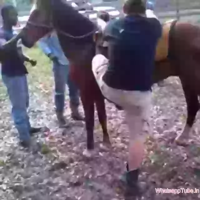Wanted Kick From Horse
