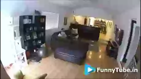 Watch Video And Laugh Hard So Funny