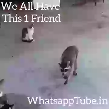 We all this 1 friend in group