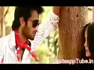 What a loyal boy funny