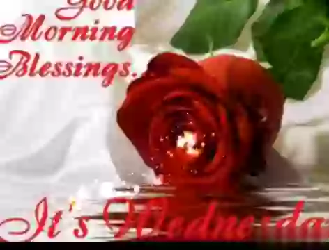 Whatsapp Good Morning Wish For Wednesday Status