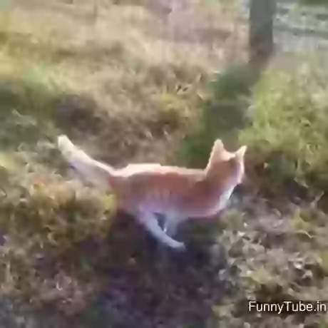 When My Friend Show Off