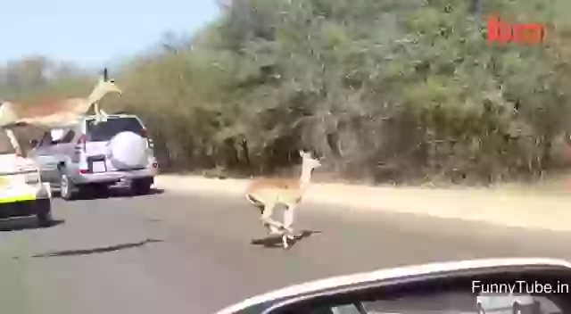 When girls see sale on shopping mall fun gif