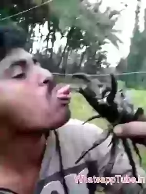 Why You Doing This Man