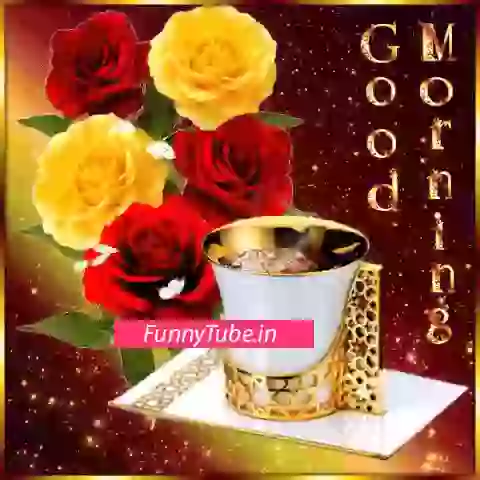 Wonderful Good Morning GIF Status