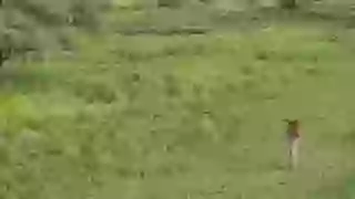 You Will Never Believe  On This