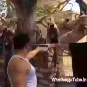 salman providing food to monkeys