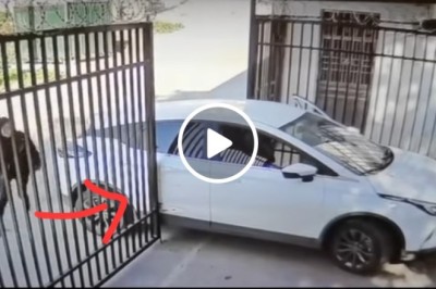 The More You Watch The More It Hurts Funny Driving Video